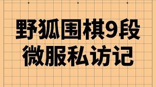 【围棋自战解说】野狐9段 走访2d初学者