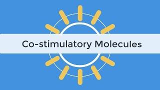 Check Point Inhibitors & Co-stimulatory Molecules Immunology Tutorial, Abatacept, Belatacept