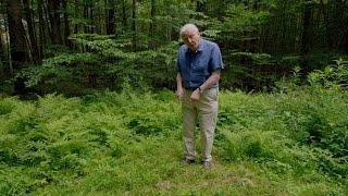 A glowing underground network of fungi - Attenborough's Life That Glows: Preview - BBC