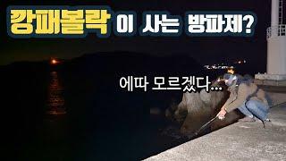 방파제에서 이런게 나오면 반칙 아닌가...? 제주 볼락 루어낚시 Jeju Rockfishing