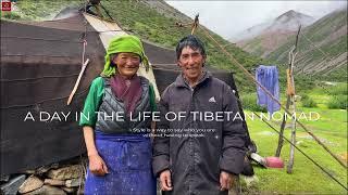 Daily Life of a Tibetan Nomad Family Living in Altitude of 4800 Meters, How is Their Daily Life?