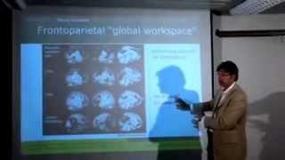 FIVAN _ Steven Laureys_ Coma _ Neurorehabilitation.mov