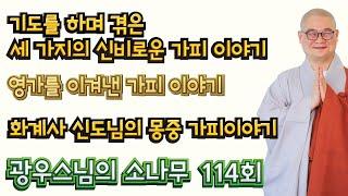 헤아릴 수 없는 부처님의 가피력 | 광우스님의 소나무 114회