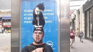 Catman Charlie and The KONYH - Cat on the Head New York City