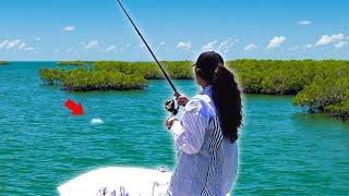 Exploring FLORIDA WATERS to Catch FISH!