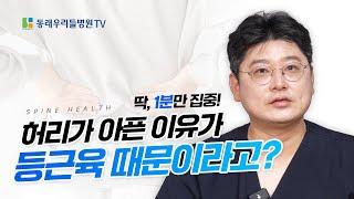 허리가 아픈데, 원인은 등 근육 때문이라고?