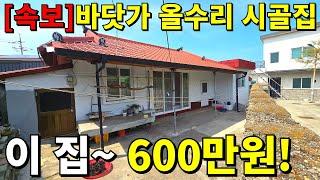 [속보]바닷가 올수리 시골집! 끝없이 떨어진 가격~ 단돈 600만원! 땅값은 공짜나 마찬가지~ 엄청나게 쏟아집니다!