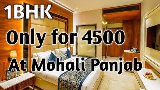 How to find the best Room/ flat/ pg/ in mohali, chandigarh panjab At low price #room #rent #mohali