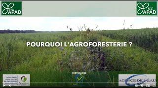 Pourquoi l’Agroforesterie ? Jean Harent – APAD PICARDIE - (Hauts-de-France)