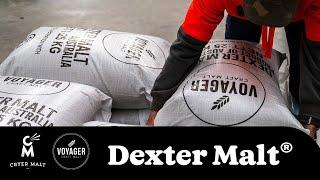 Introducing Dexter Malt - Cryer Malt x Voyager Malt