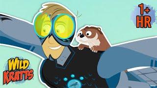 Every Creature Rescue Season 3 | Protecting The Earth's Wildlife | New Compilation | Wild Kratts