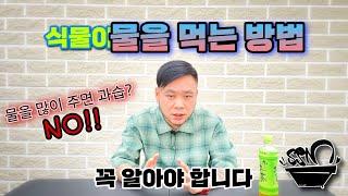 의외로 다들 모르는 식물이 물을 먹는 방법 / 딱 6분만에 완전 쉽게 이해시켜드림