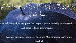 Surah Bayyinah X10 | Mishary Rashid Al Afasy | Beautiful Recitation