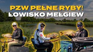 PZW pełne DUŻEJ RYBY! Łowisko Specjalne Mełgiew