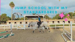 Small Jump School with my Standardbred // Happy the Standie