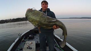 7 Keys To Catch A MONSTER CATFISH (Huge Flathead!)