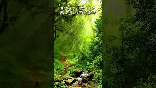 世界盡頭的咖啡館 #心靈成長好書分享 ｜三個問題改變人生觀｜心靈成長必讀 #世界盡頭的咖啡館 #說書短影片 #心靈成長 #知識型內容 #文學短片