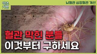 뇌경색 협심증 같은 혈관질환에 너무 좋은 약초입니다. 수입에 의존할 수밖에 없었지만 다행히 농사를 짓는 분이 있어 소개합니다[약초방송]