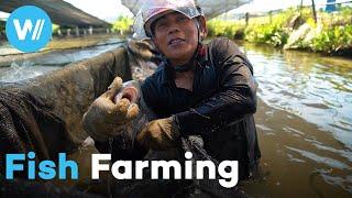 Fish farming: Is aquaculture the solution to overfishing or harmful to biodiversity?