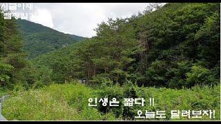 경북에 이런 계곡이? 포항 하옥 #camping #차박 # 봉고3