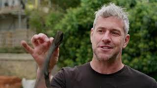 Ant Anstead Born Mechanic S01E07 Ford Thunderbird American Icon