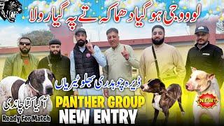 Dera Ch Bilal Tairyan  A Gaya Kuta CHANDI || Panther Group  New Entry || Family Vlog