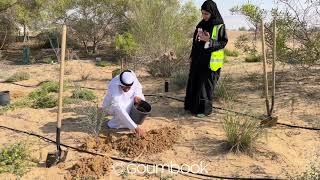 Goumbook x DP World | Tree Planting | Give A Ghaf | Dubai | 2023 02 24