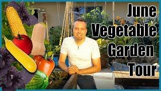 June - Full Vegetable Garden Tour