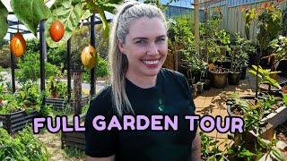 Full edible GARDEN TOUR & rare fruit tree collection ~ October 2024