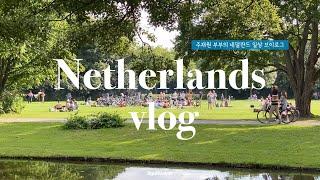 네덜란드 일상  vlog | 7월 일상, 집밥 해먹기, 식물 분갈이, 산책하기, 집꾸미기