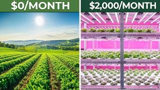 7 Biggest DISADVANTAGES of Vertical Farming