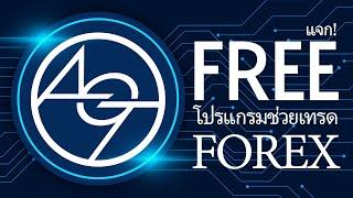 แจกฟรี! EA Forex โปรแกรมช่วยเทรดค่าเงิน