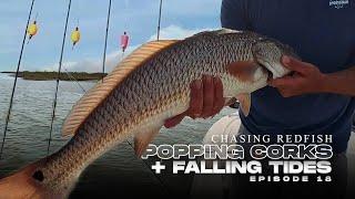 Catching Redfish: Popping Corks on Falling Tides | Landed Fishing EP18