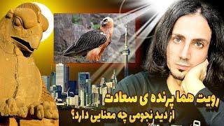 از نظر ستاره شناسی، دیده شدن پرنده هما برای ایران چه پیامد های عجیبی خواهد داشت؟