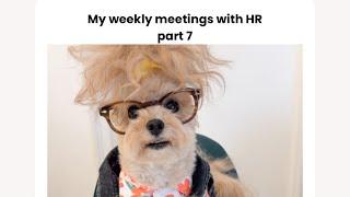 My weekly meetings with HR part 7