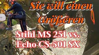 Motorsägenvergleich | Stihl MS 251 | Echo CS-501 SX | Die Sägen fürs Bäume fällen