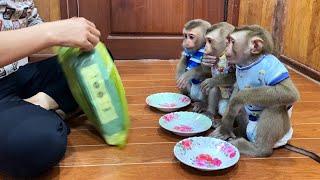 The 3 Siblings Queue Up In Line For Their Cereal Cakes