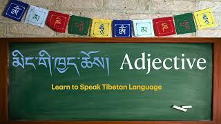 Learn Tibetan Language Beginner (2) - Adjective