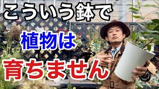 【残念なお知らせ】植物を育てる鉢の特徴教えます　【カーメン君】【ガーデニング】【スリット鉢】