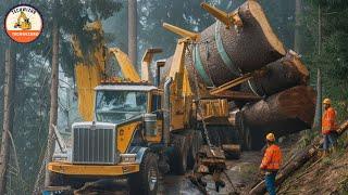 High-Risk Logging Truck Operations, The Dangers of Hauling Timber #43