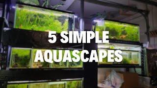 Aquascaping Shouldn't Be Complicated - 5 Easy Scapes