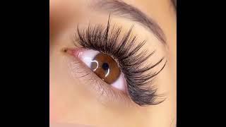 wholesale eyelash extensions manufacturer eyelash volume lash extenisons manufacturer baisi lashes