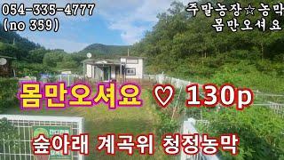 (NO 359) 다갖춘 예쁜 농막+밭  청정계곡 & 저수지 포장길 인접 영천땅 영천부동산 영천토지 영천급매 영천농막 영천촌집