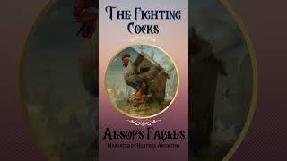 The Fighting Cocks - Aesop's Fables