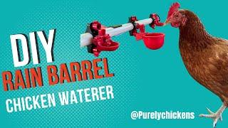 Rain Barrel Chicken Waterer