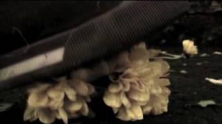 High Ceilings- The Bensons