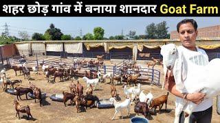 You might not have seen such a magnificent goat farm. Goat Farm Tour | Goat Farming