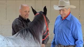 Horse Sense & Soldiers with Monty Roberts