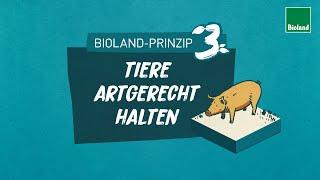 Bioland-Prinzip 3: Artgerechte Tierhaltung - Nachhaltigkeit, Qualität und Tierwohl