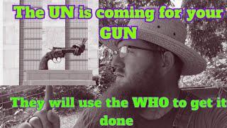 How the UN will try to take your GUNS